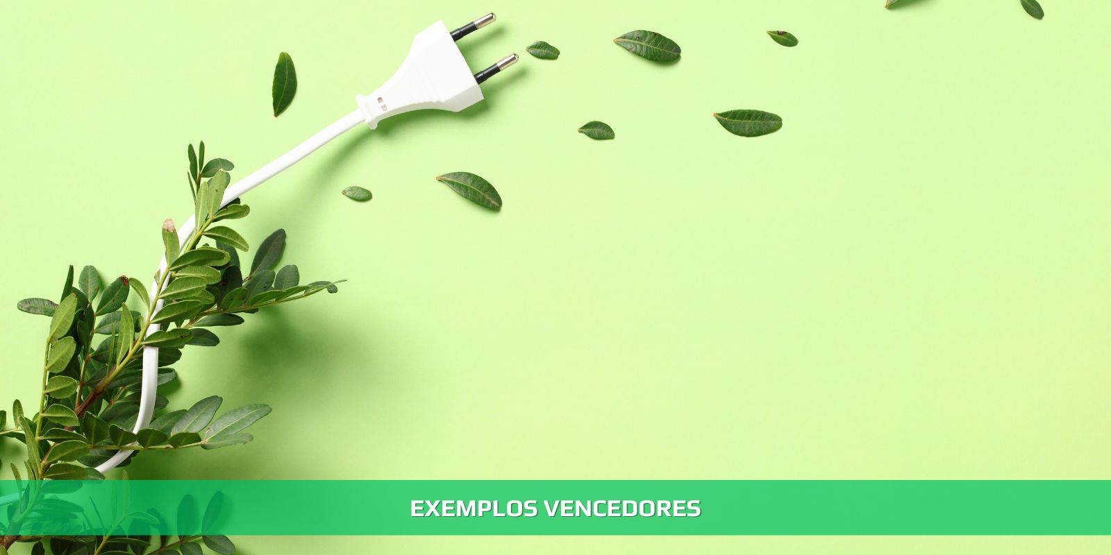 Figura 3 - ECONOMIA VERDE. O FUTURO E A NATUREZA AGRADECEM